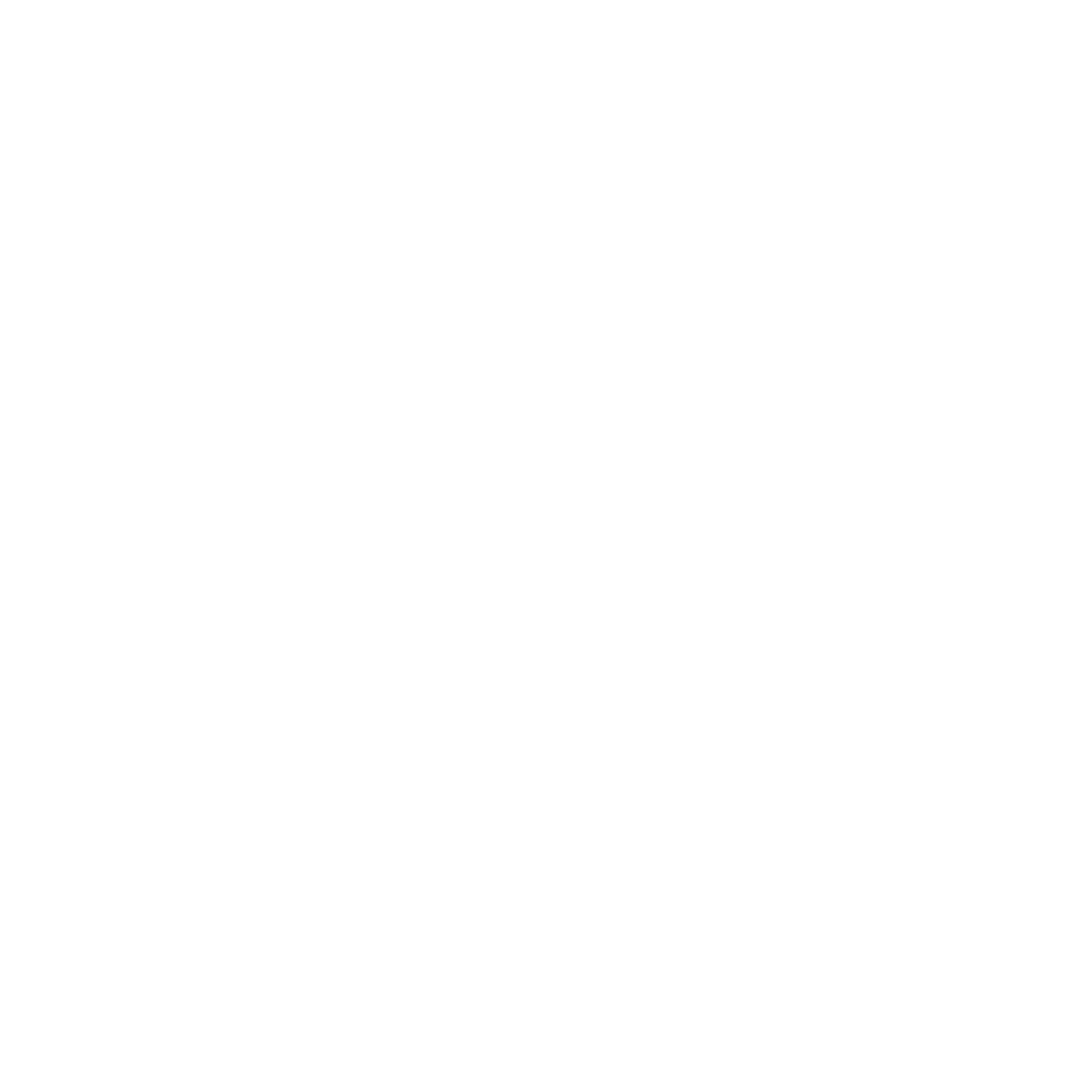 sapo logo WHITE 1080px PNG